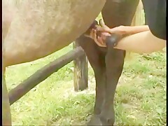 Two horny milfs strip and blow a horse 2