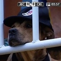 luizes's Avatar