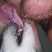 dog2's Avatar