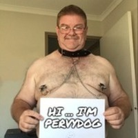 pervydog's Avatar