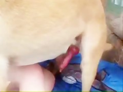 Thumb 19