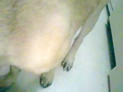 Thumb 13