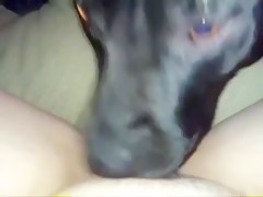 De la verdura a la carne