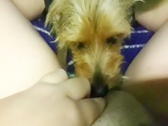 Thumb 10