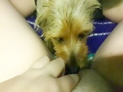 Thumb 7