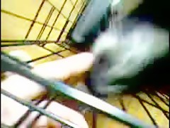 Thumb 7