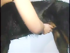 Thumb 11