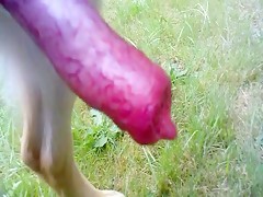 Thumb 16