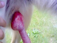 Thumb 19
