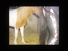 Thumb 8