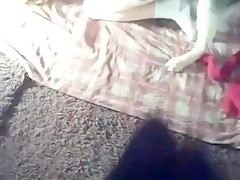 My privates bestiality videos 10