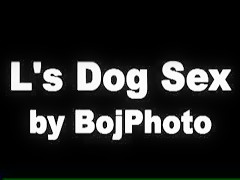 Booboo K9 BJ