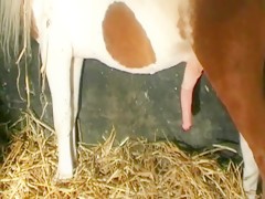 deep throating a big cock