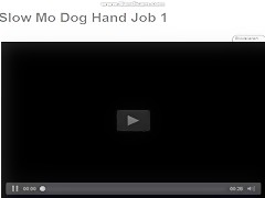 dog locked in the ass