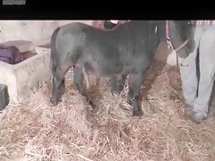 karmen la cuidadora 2