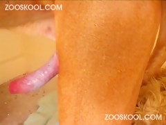 Thumb 11