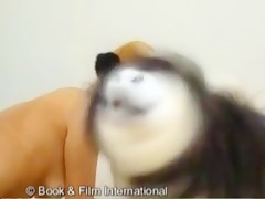 webcam teasing a dog
