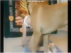 Russian pair fucking with dog