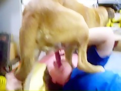 Horny chubby woman sucking deep dog