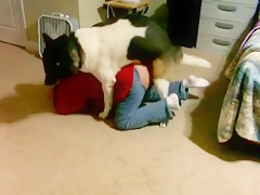 Mi regalo de navidad bestial