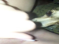 tiny but efective