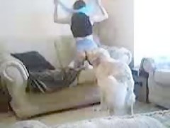 Web cam zoo porn 2