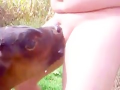 El carnerito me mama la polla