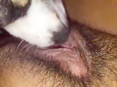 Su hocico en mi conejo 2