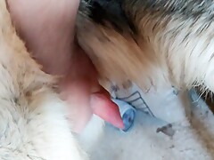 Thumb 3