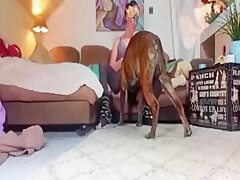 Husband and Wife Make A Porno