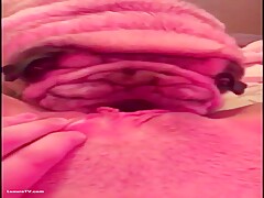 Pug licks deep