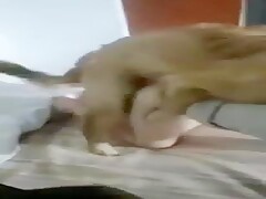 Chinese having sex with her dog