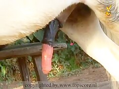 kinky blonde horsecocklover playing